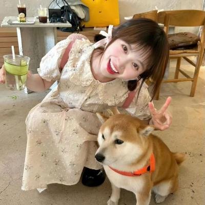 囧爸喜事2023